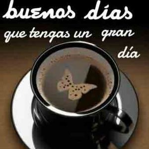 Meet your Posher, Guillermo